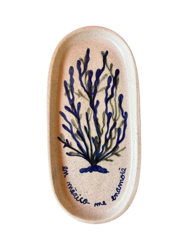 CHAROLA Coral